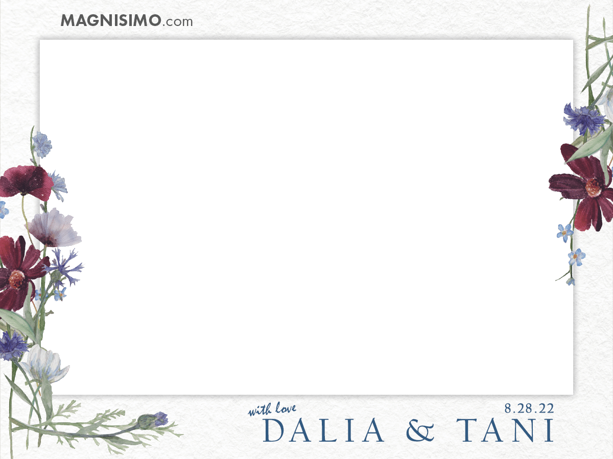 220828 Dalia Tani Frame Final