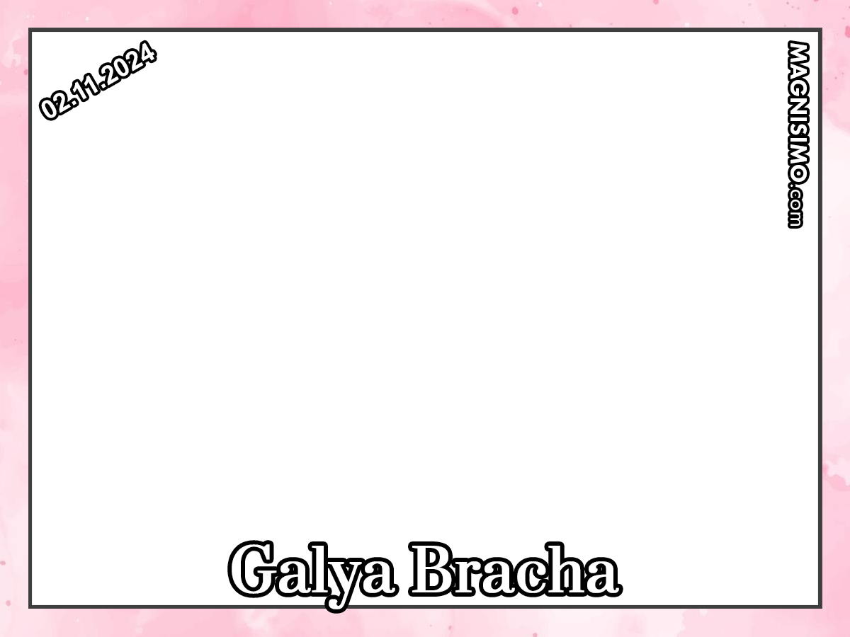 Frame 101 Galya Bracha V3