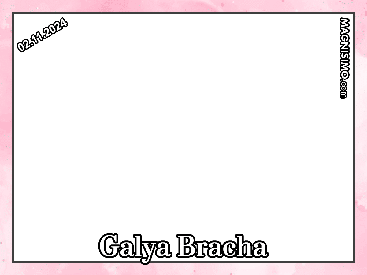 Frame 101 Galya Bracha V3