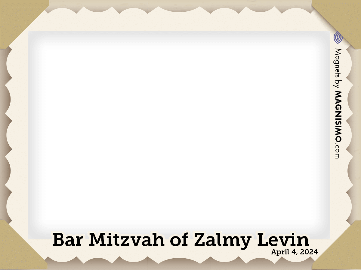 240404 Zalmy Levin Frame 111